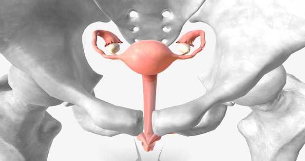 Расположение плаценты во время беременности