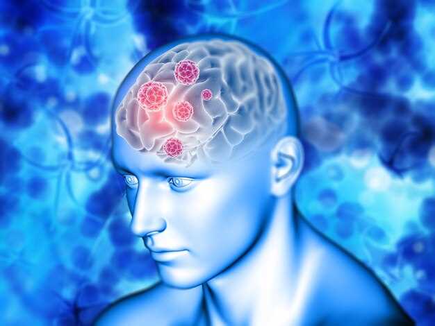 Роль головного мозга в организме человека