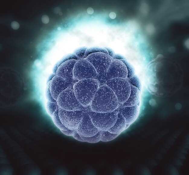 Особенности внутренней структуры яйцеклетки