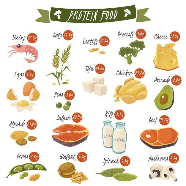Растительный белок и его важность для здорового питания